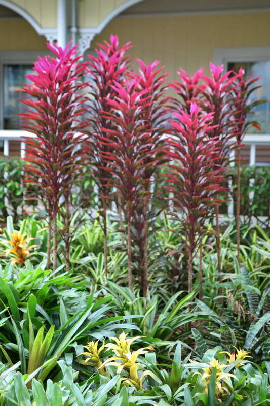 Unknown descriptionUnknown description