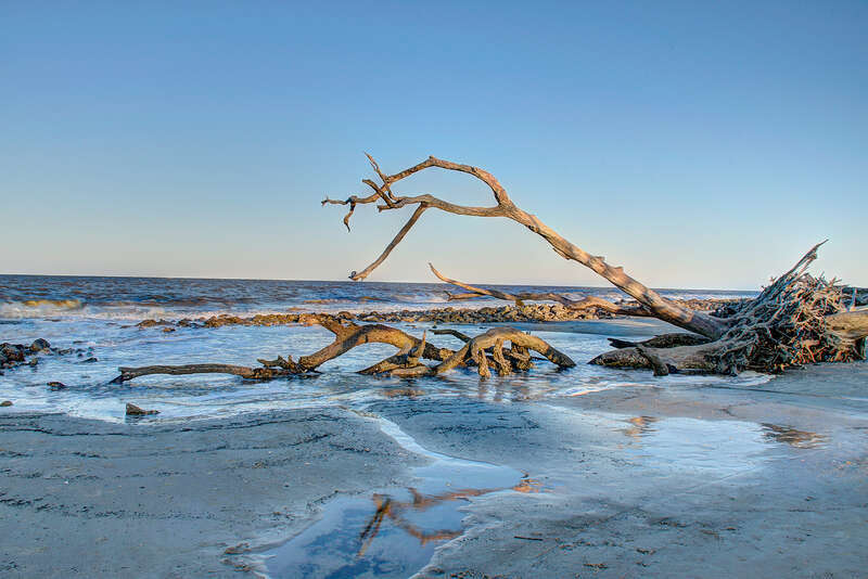 Driftwood Beach - Jekyll Island, GA