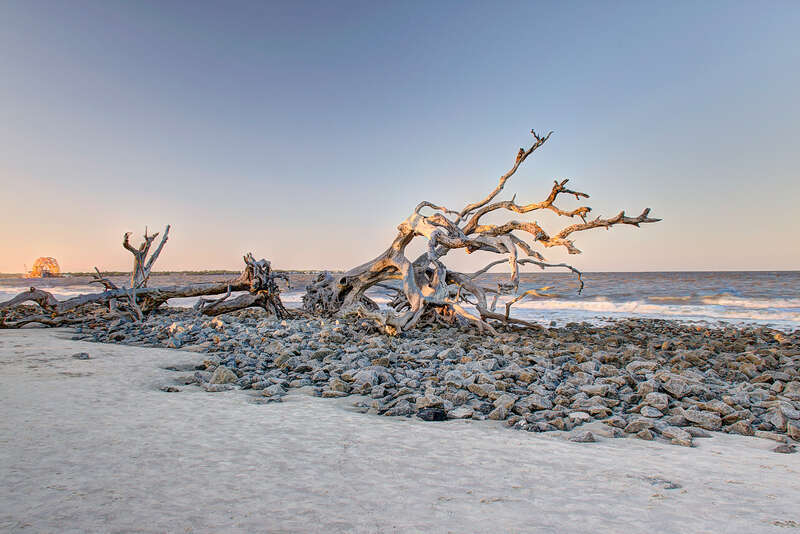 Driftwood Beach - Jekyll Island, GA