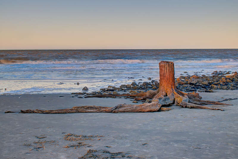 Driftwood Beach - Jekyll Island, GA