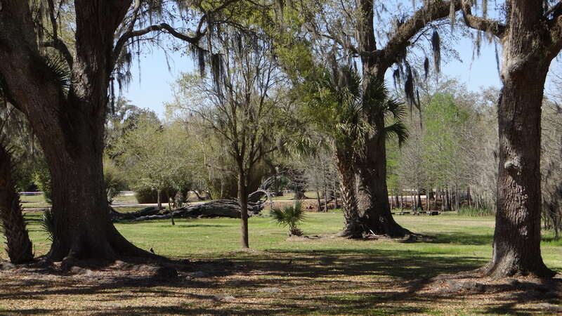 Avery Island et Tabasci, Louisiane, USA