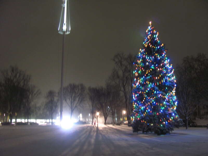 Christmas Tree on the Common, Lexington Massachusetts