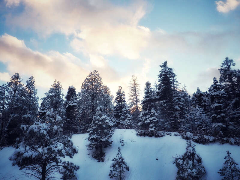 500px provided description: OLYMPUS DIGITAL CAMERA          [#trees ,#forest ,#winter ,#cold ,#clouds ,#snow ,#mountain ,#pine ,#backcountry]