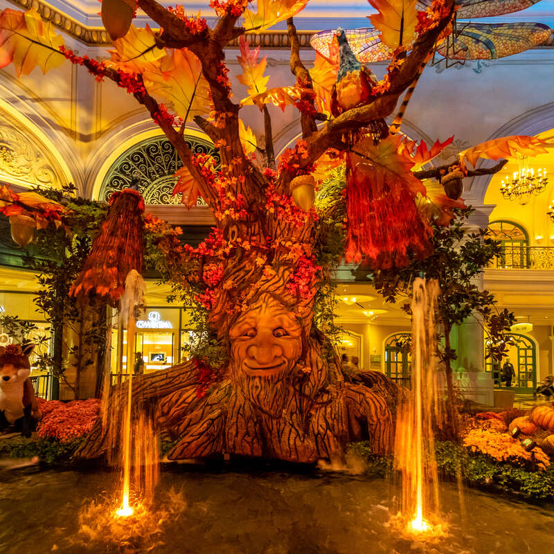 Bellagio Conservatory