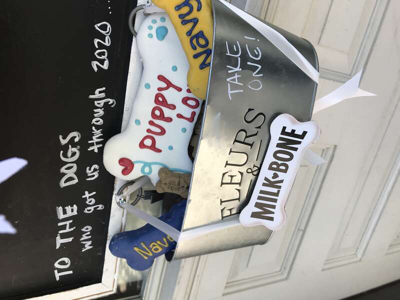 66th Year to put flowers out on May Day