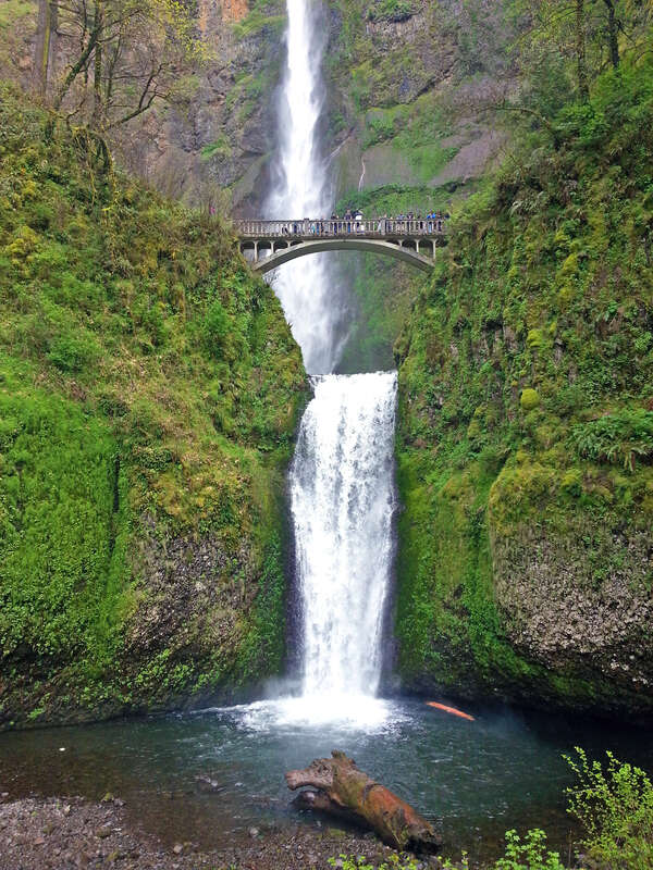 (1 in a multiple picture set)There are more than 70 falls along the road through the Columbia River Gap, of which 20 or so are accessible by an easy walk.  Multnomah is my favorite, when it is not crowded, which is a rarity.  The fall has two stages.