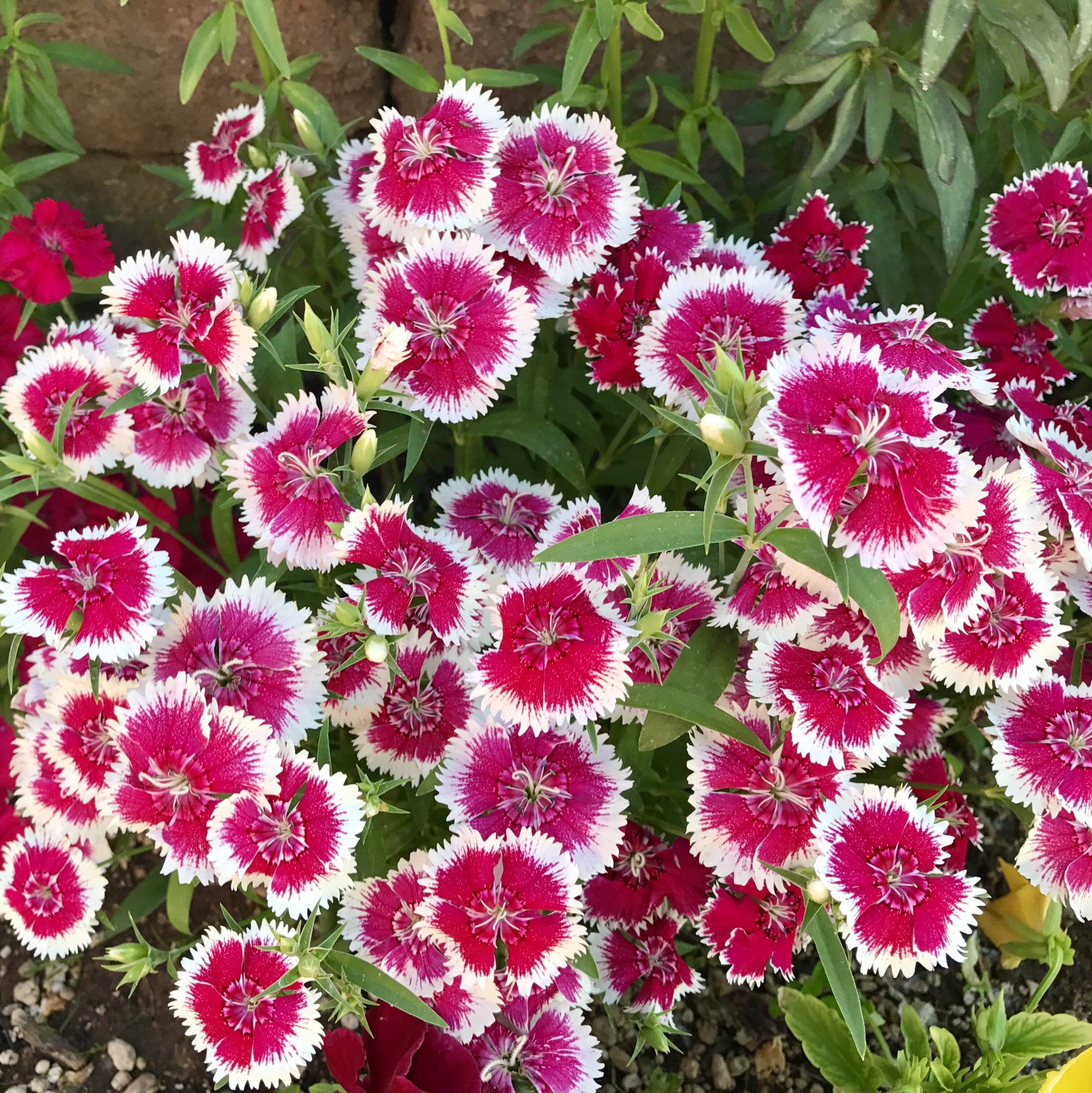 “Technology moves fast, but its speed now slows us down. A torpor has descended, the weariness of having lived this change before—or one similar enough, anyway—and all too recently. The future isn’t even here yet, and it’s already exhausted us in