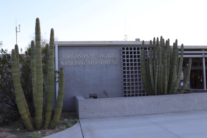 @ Organ Pipe Cactus National Monument, Arizona