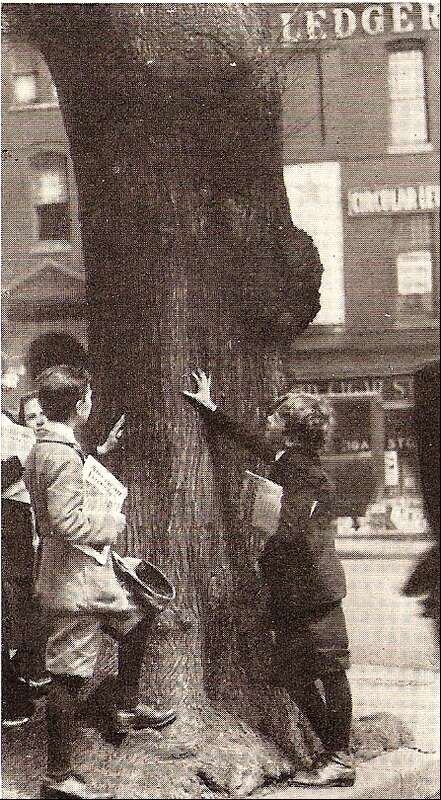 Kids examining the trunk of the &quot;Morse Elm&quot;, which stood on the NW corner of Fourteenth Street and Pennsylvania Avenue, NW.  It was cut down in 1921 during a road widening project.
The tree was named for the inventor Samuel F. B. Morse, who was