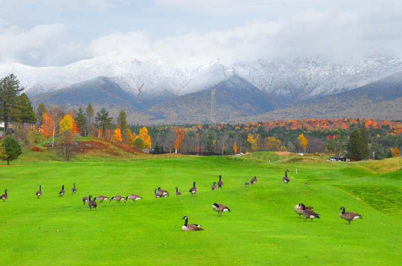 Mount Washington Hotel, Off U.S. Route 302 Bretton Woods