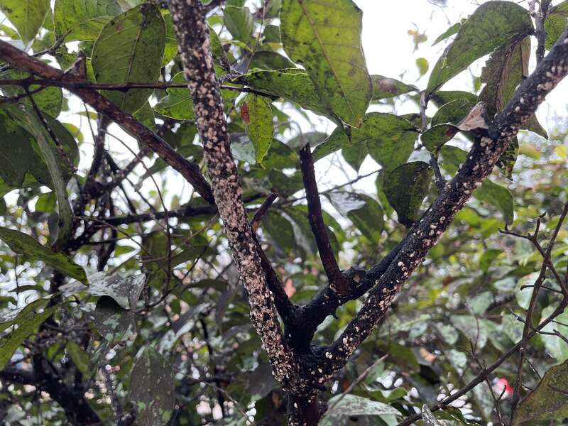 Seen in Clarksdale, Mississippi