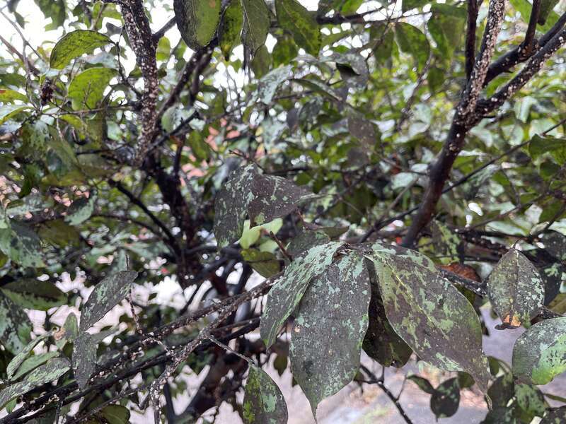 Seen in Clarksdale, Mississippi