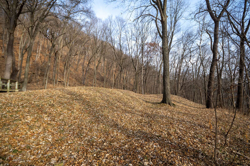 Effigy Mounds National Monument preserves more than 200 prehistoric mounds built by Native Americans. Numerous effigy mounds are shaped like animals, including bears and birds. These were built mostly in the first millennium, by peoples of the