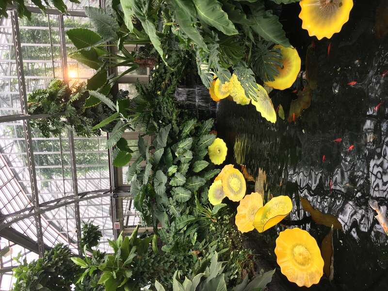 Garfield Park Conservatory (Chicago)
