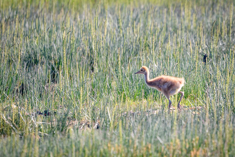 Bishop's Beach Park, Homer, Alaska