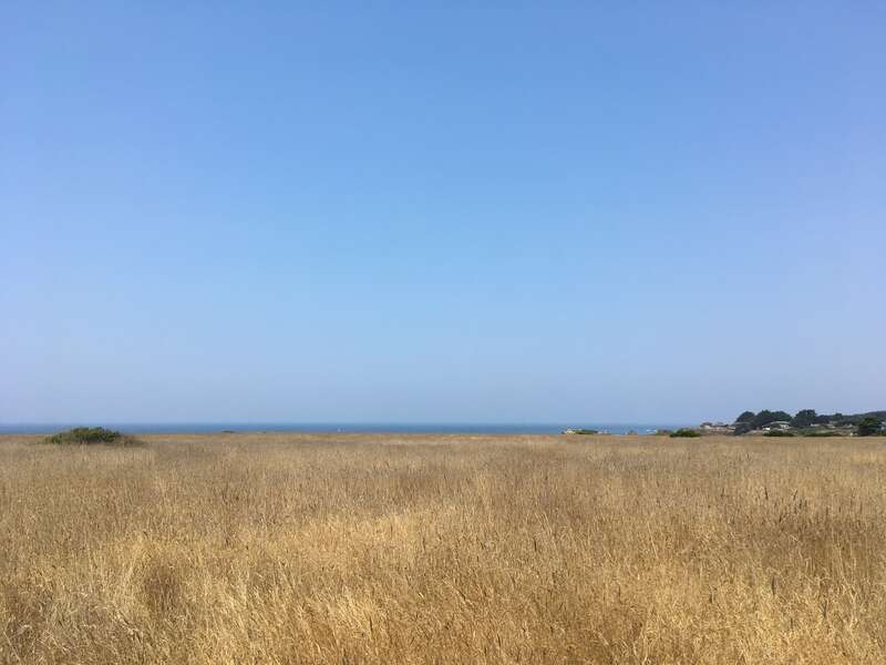 Point Cabrillo Light Station adjacent headlands, Caspar, CA 2017-09-01
