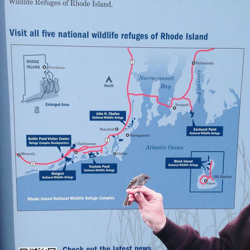 A map of all the national wildlife refuges that make up the Rhode Island Complex (at the Sachuest Point Visitor Center). Credit: Margie Brenner/USFWS