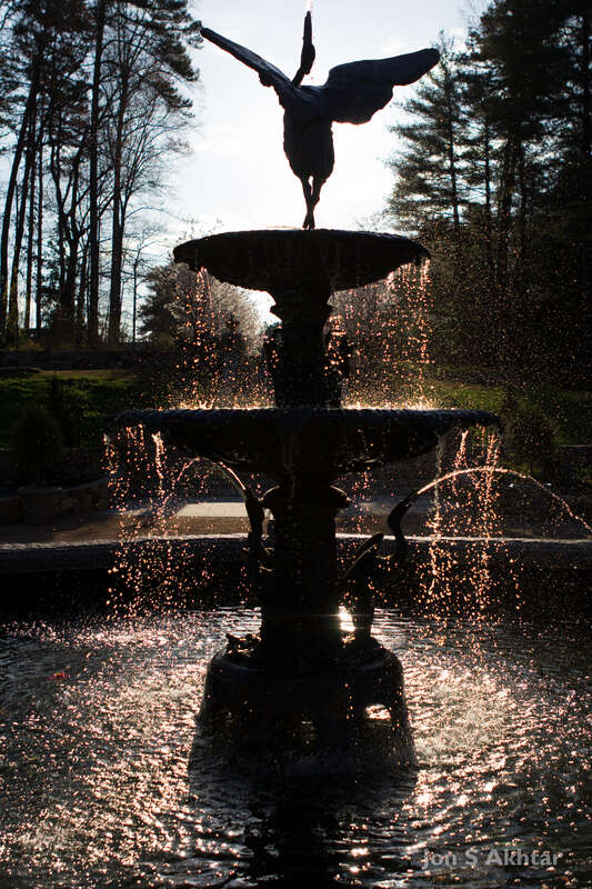 Silhouette of Fountain