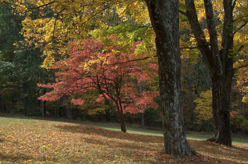 at  TC Steel house

 and museum in Brown county. SOOC.