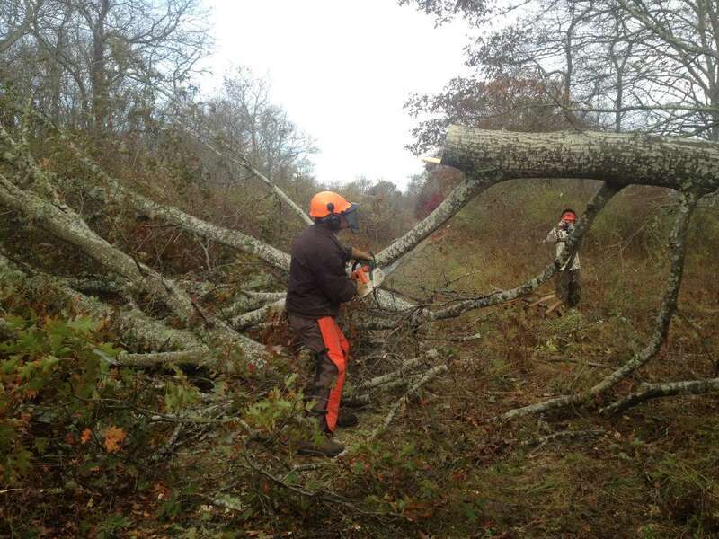 Service staff working to clear downed trees from trails at Ninigret NWR.


Stay informed