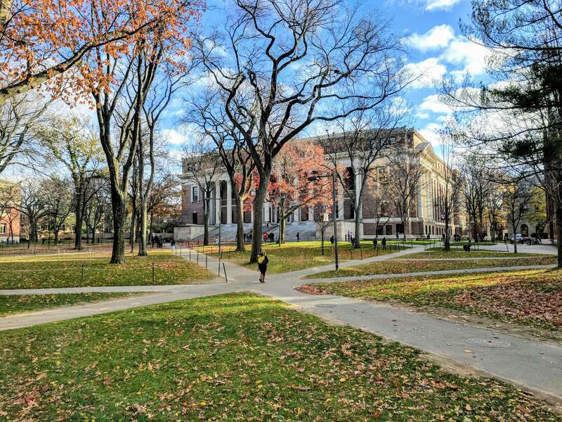 Widener library at Harvard University campus