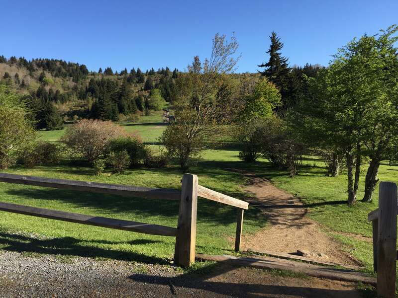 View north at the south end of the Rhododendron Trail within Grayson Highlands State Park in Grayson County, Virginia