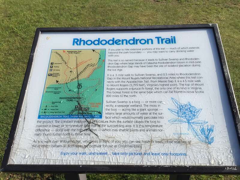 Sign describing the Rhododendron Trail within Grayson Highlands State Park in Grayson County, Virginia
