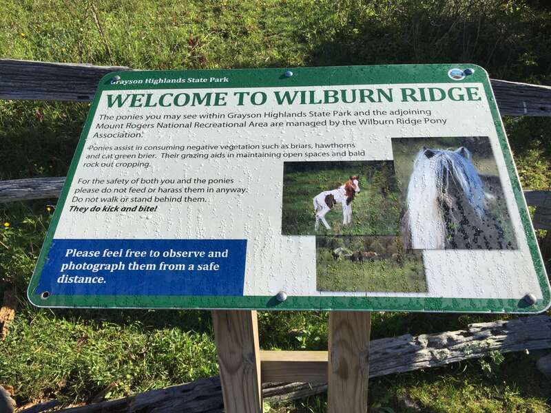 Sign describing Wilburn Ridge along the Rhododendron Trail within Grayson Highlands State Park in Grayson County, Virginia