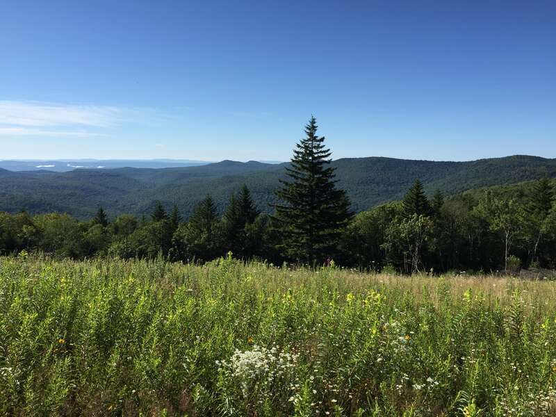 View south-southeast up the valley of the Williams River from the Big Spruce Scenic Overlook along West Virginia State Route 150 (Highland Scenic Highway) in western Pocahontas County, West Virginia