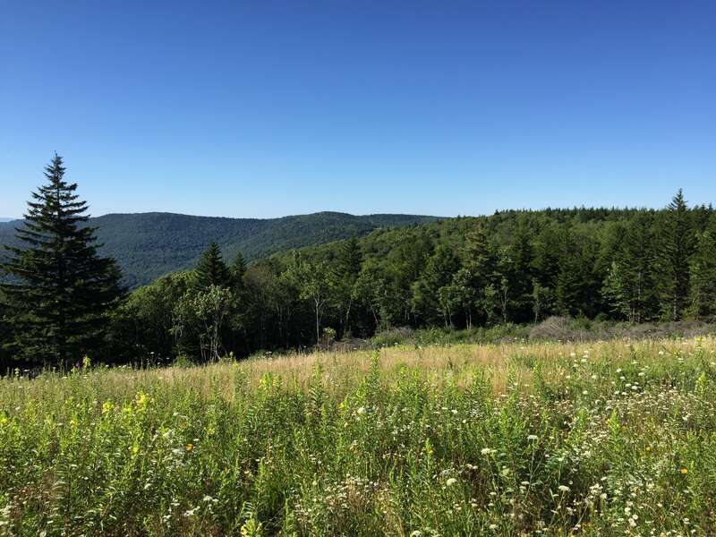 View south up the valley of the Williams River from the Big Spruce Scenic Overlook along West Virginia State Route 150 (Highland Scenic Highway) in western Pocahontas County, West Virginia
