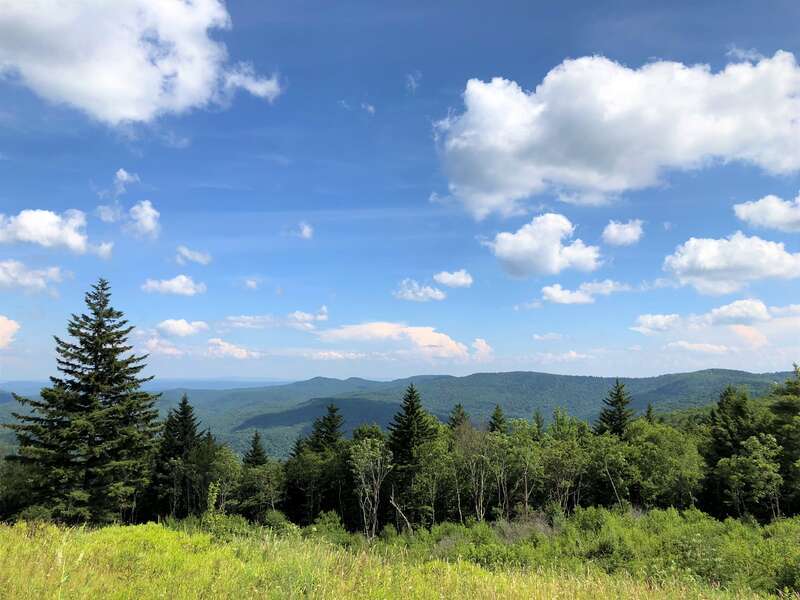 View of mountains along the Highland Scenic Highway, Route 150, Monongahela National Forest, West Virginia, July 11, 2018. (Forest Service photo by Kelly Bridges)