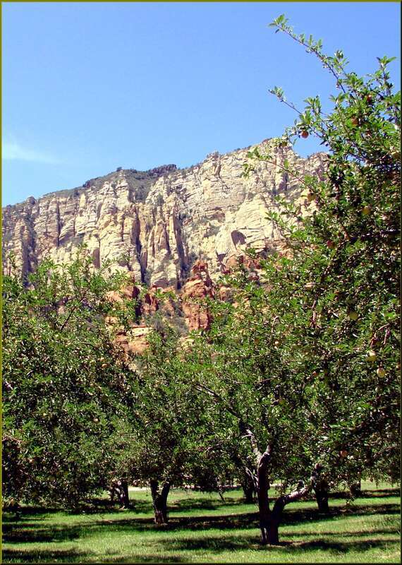 (1 in a multiple picture set)
The grove is part of an old farm.  The fellow found the climate in the canyon was perfect for growing apples.  But he also had access to water as Oak Creek flows through the farm. For a combination of green grass, trees,