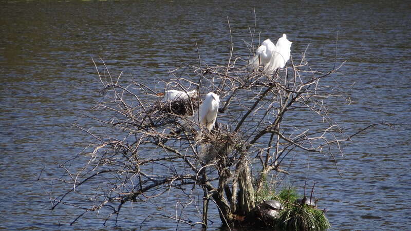 Avery Isaland et Tabasco; Louisiana