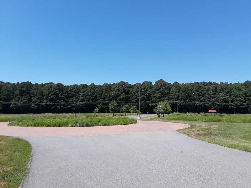 Blackwater NWR visitors center and grounds.