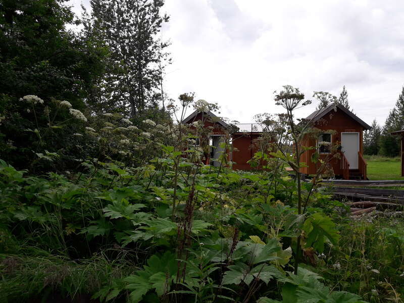 By ovedc - Talkeetna