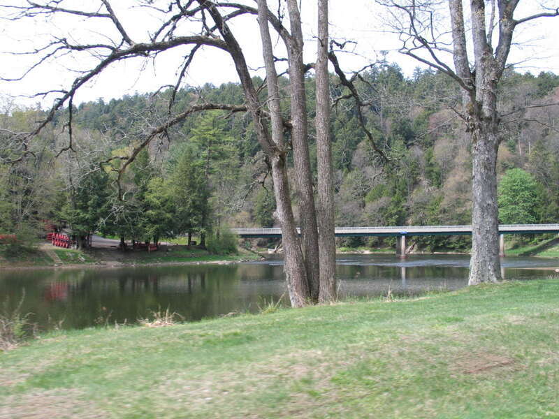 Carion River Cook Forest