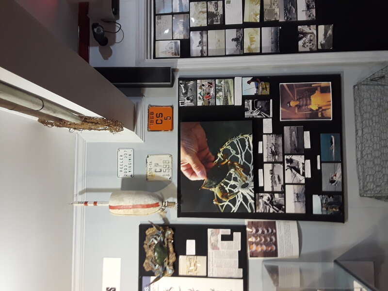 Taken on a visit to Tangier Island, July 2018