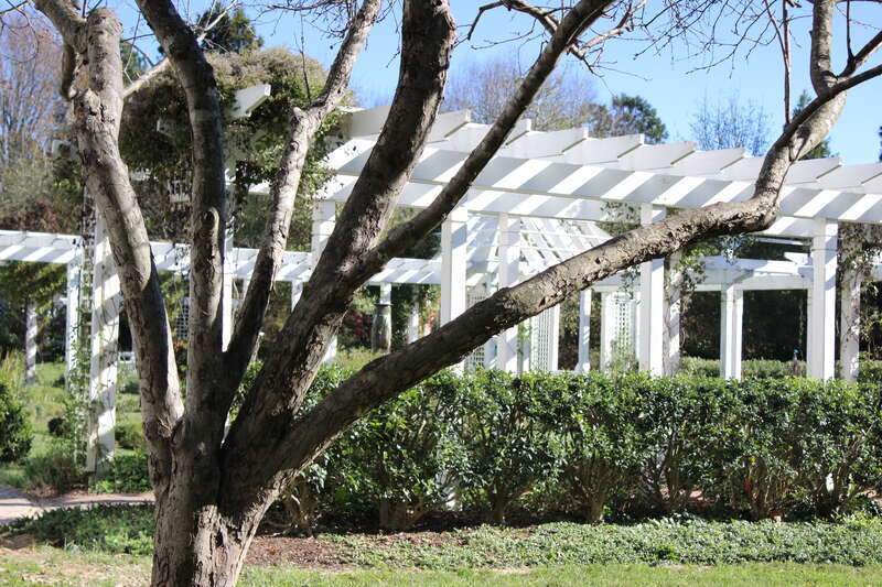 Fearrington House Garden