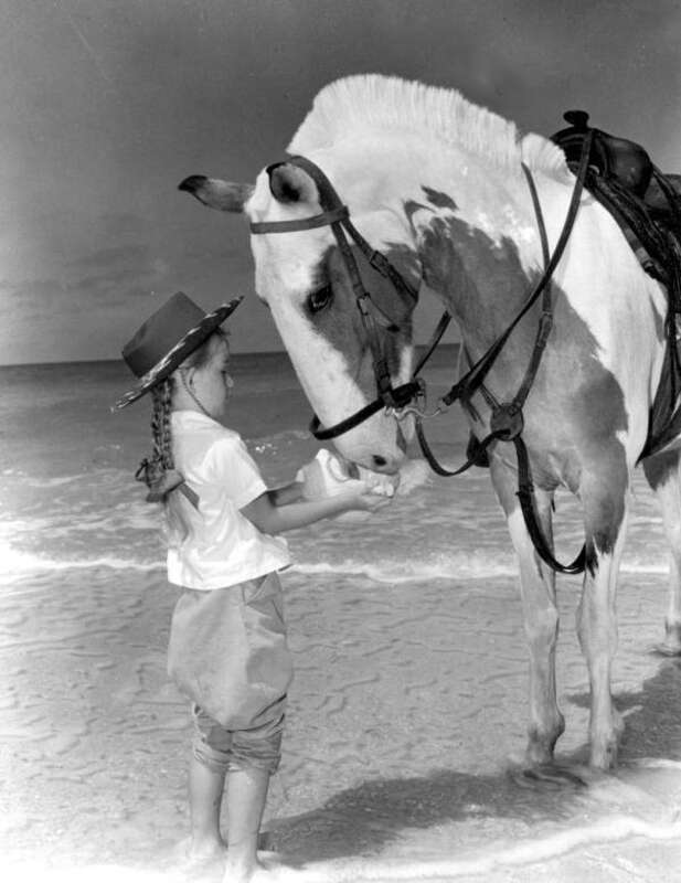 Local call number:  c009998
Title: [Janie Irvine gives water to &quot;Patches&quot; from surf: Pass-a-Grille Beach, Florida]
Date: Photographed on May 5, 1948.
Physical descrip: 1 photoprint : b&amp;amp;w ; 5 x 4 in.
Series Title: (Commerce Collection.)
General