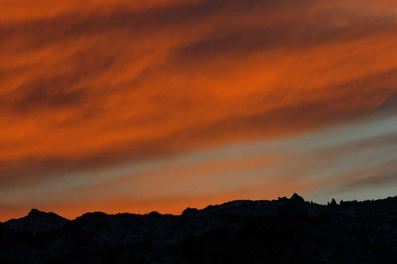 Joshua Tree National Park. California. USA.