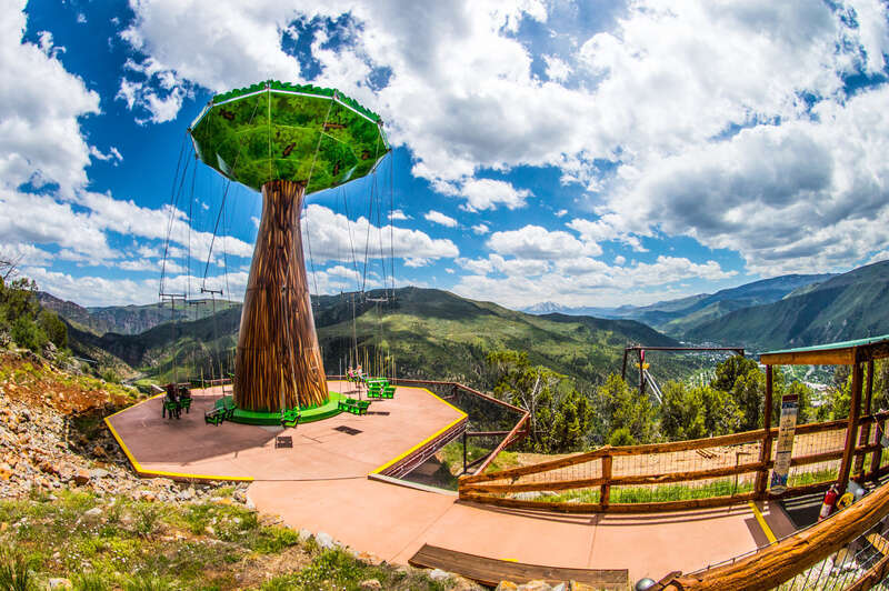 500px provided description: The Big Tree [#park ,#sky ,#travel ,#blue ,#sun ,#clouds ,#tree ,#summer ,#beautiful ,#view ,#green ,#fun ,#mountain ,#cloud ,#day ,#hill ,#outdoors ,#scenics ,#amusement park ,#colorado ,#joy ,#tranquil scene ,#idyllic