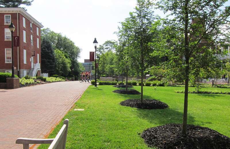 Triple Tandem turns on Cater Walk