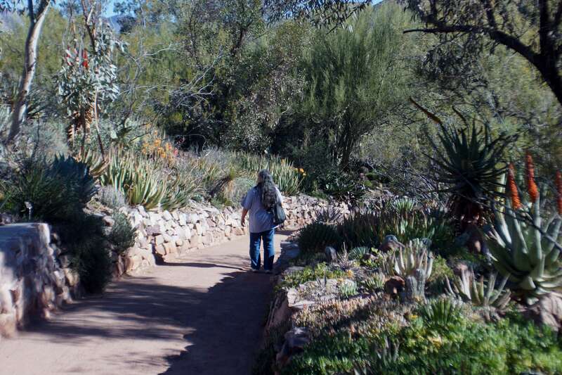 2014, On the Aloe and Succulents Trail
