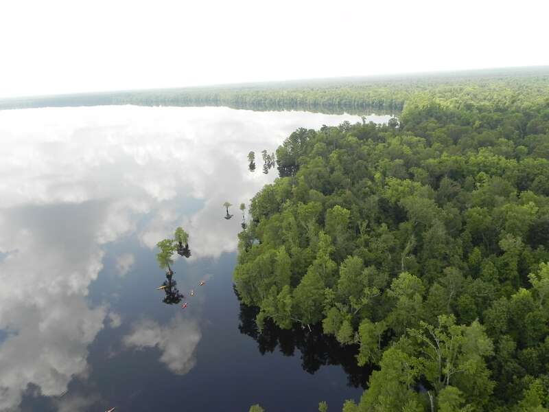 Great Dismal Swamp National Wildlife Refuge. Credit: USFWS