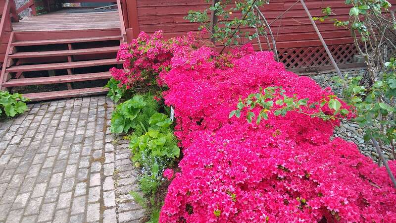 Hulda Klager Lilac Gardens