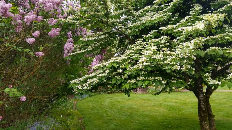 Hulda Klager Lilac Gardens
