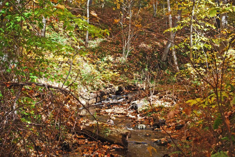 Schoolcraft Furnace site near Munising-Alger County, MI