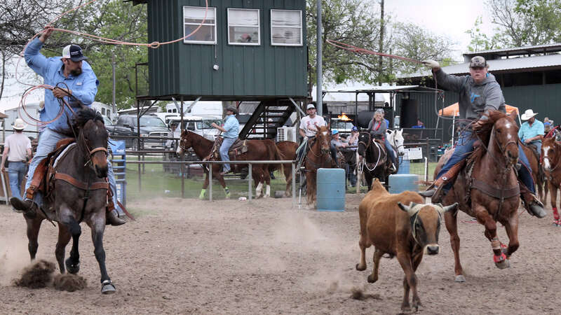 Jackpot team roping event in New Braunfels, Texas, United States. The header and heeler giving chase.