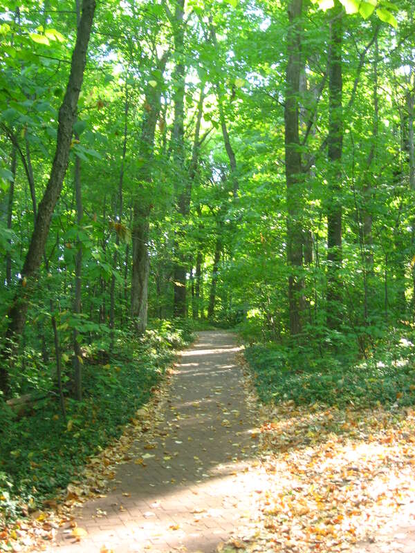 Looking to the northeast along a pathway in the southwestern corner of Dunn's Woods on the campus of Indaian University in Bloomington, Indiana, United States.  Dunn's Woods is located in the oldest section of the campus, which is known as The Old