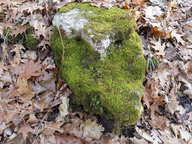 Effigy Mounds National Monument preserves more than 200 prehistoric mounds built by Native Americans. Numerous effigy mounds are shaped like animals, including bears and birds. These were built mostly in the first millennium, by peoples of the